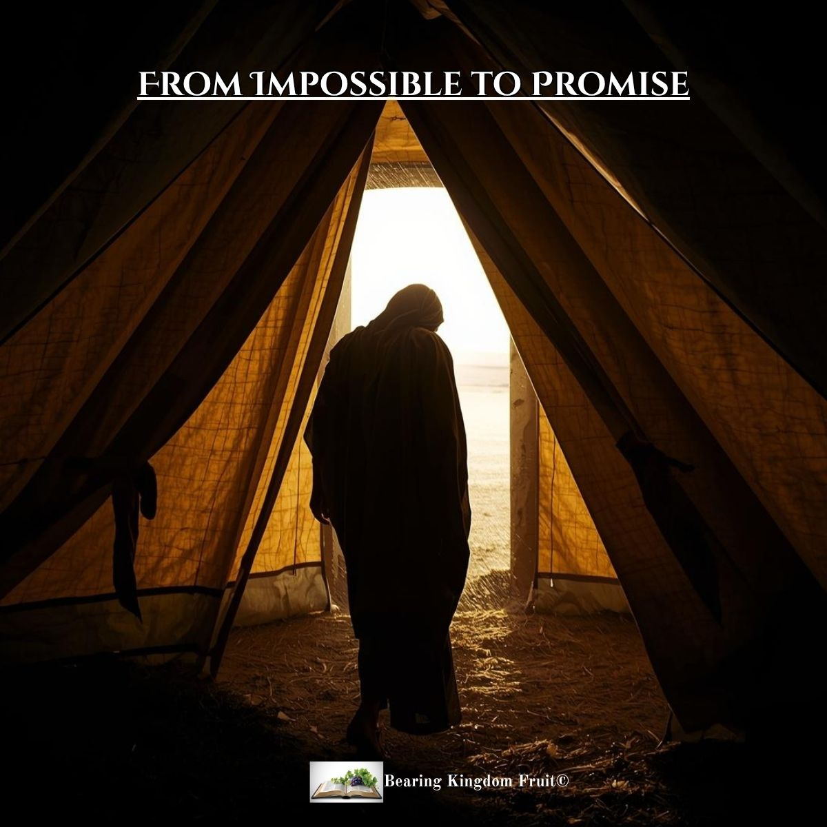 From Impossible to Promise