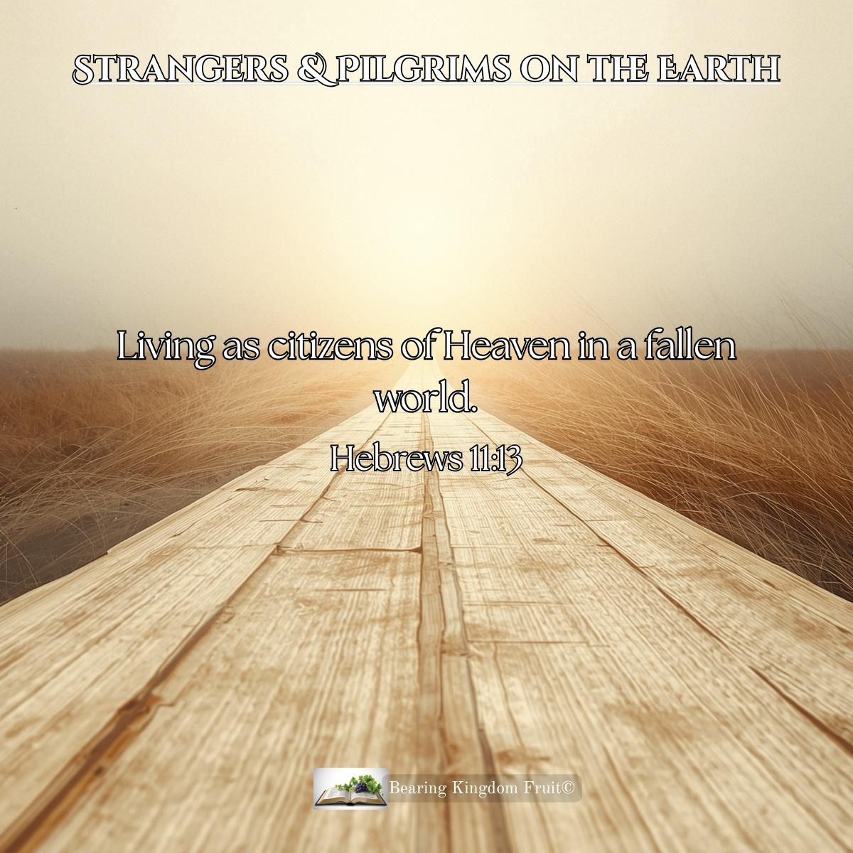 Strangers & Pilgrims on the Earth (Hebrews 11:13)