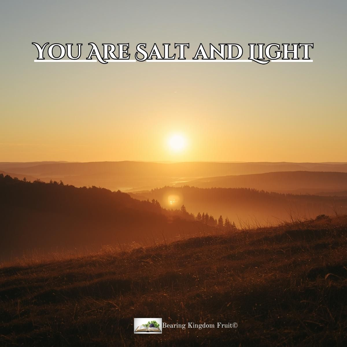 You Are Salt and Light